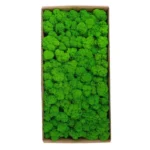 1500g Simulation Plants Eternal Life Moss /Garden Home Decor Wall DIY Flower Material Mini Garden Micro Landscape Fake Moss Gift - Image 4