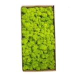 1500g Simulation Plants Eternal Life Moss /Garden Home Decor Wall DIY Flower Material Mini Garden Micro Landscape Fake Moss Gift - Image 3