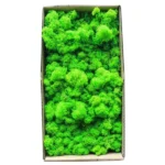 1500g Simulation Plants Eternal Life Moss /Garden Home Decor Wall DIY Flower Material Mini Garden Micro Landscape Fake Moss Gift