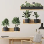 3PCS Green Plant Cactus Potted Wall Stickers for Bedroom Living Room Bathroom Home Decoartion Wall Decals - Image 3